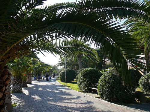 Vacanze in Abruzzo - Tortoreto Lido