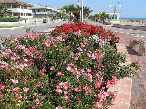 Tortoreto Lido - Lungomare sud