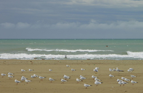 Martinsicuro - Il mare d'inverno