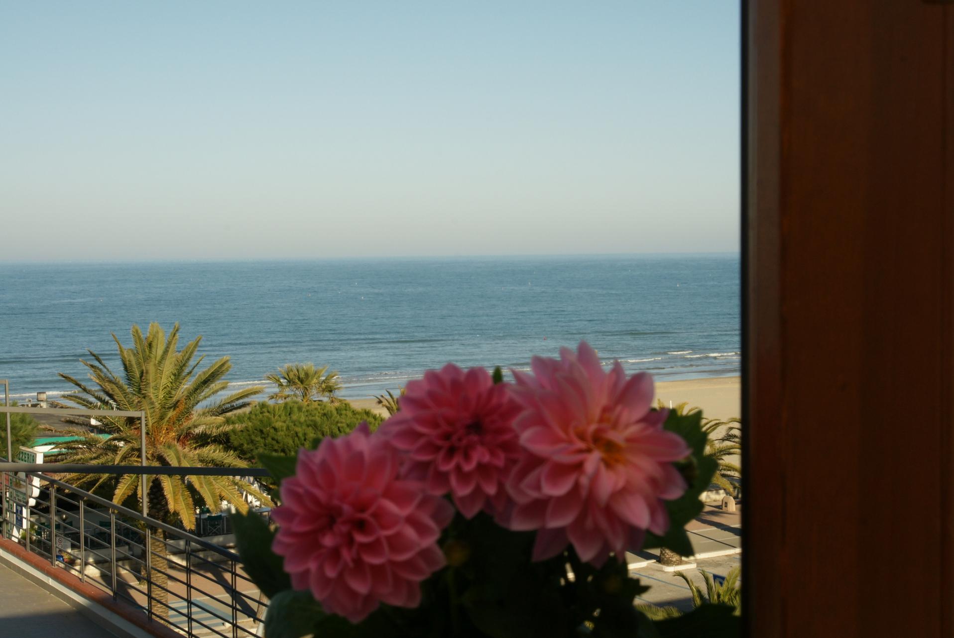 Last Minute fronte mare