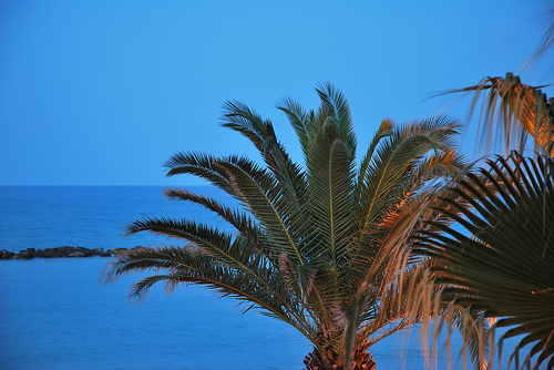 Martinsicuro - Il mare visto da un appartamento (by fiammetta33 - Flickr)
