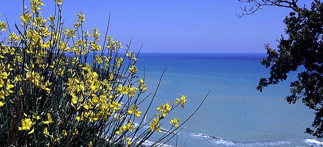 Mare Abruzzo